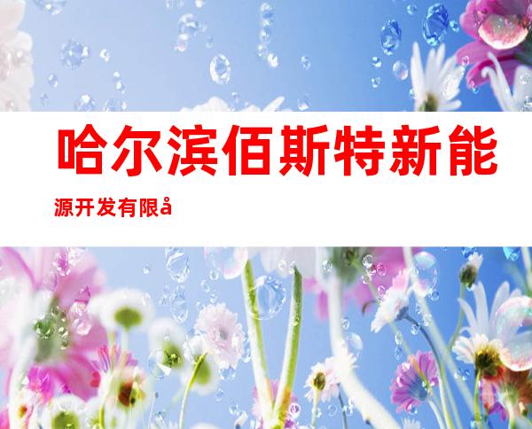 哈尔滨佰斯特新能源开发有限公司